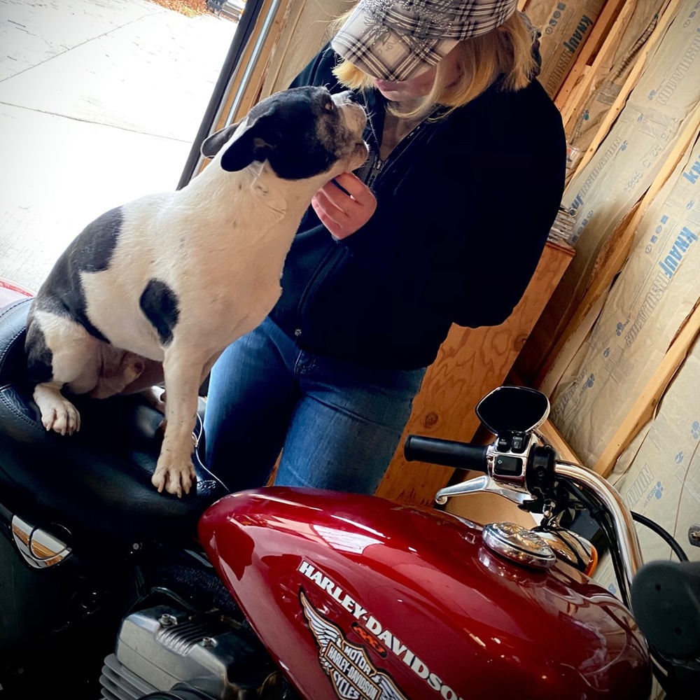 Meet your Posher, Noelle